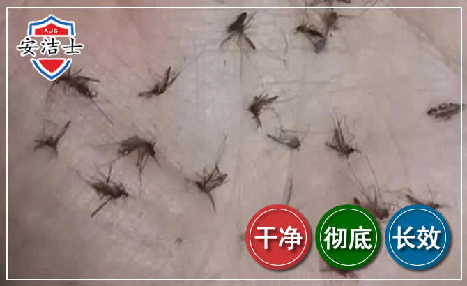 义乌蚊子防治-灭蚊