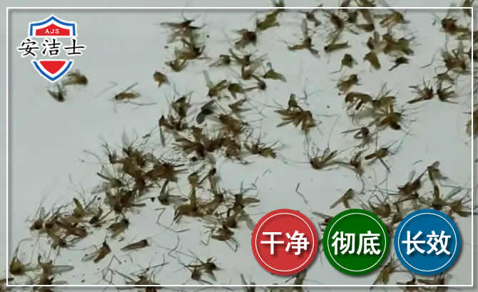 义乌苍蝇防治-灭蝇