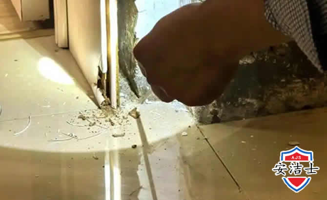 义乌房屋建筑防治白蚁