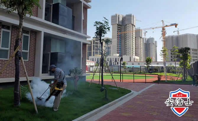 义乌工厂工地除白蚁