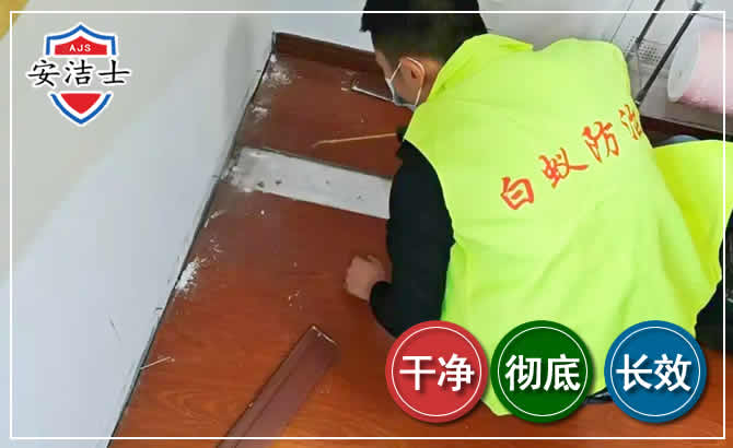 义乌除四害现场