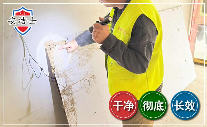 义乌除白蚁现场